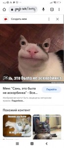 Создать мем: мемы, котики, животные забавные