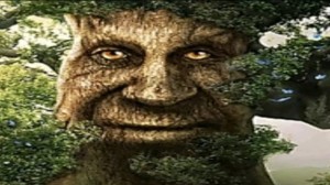 Создать мем: джек – покоритель великанов, человек, живое дерево