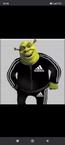 Create meme: Shrek , cartoon characters in the Adidas, Shrek in Adidas