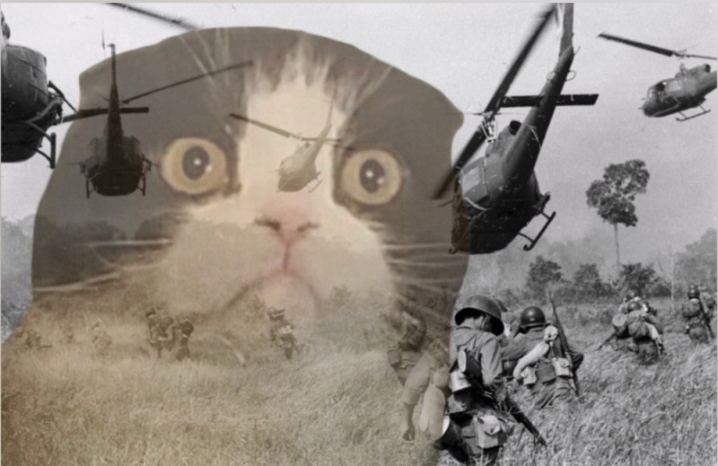 Создать мем: кот флешбеки вьетнам, флешбеки из вьетнама, кот вьетнамские флешбеки