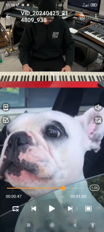 Создать мем: french bulldog, пес, funny piano