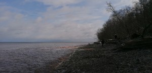 Create meme: the Gulf of Finland, nature