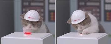 Создать мем: котик жмет на кнопку, грустный котик в каске, котик в каске