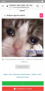 Создать мем: грустный котик, скриншот, грустный котик мем