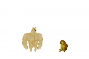 Создать мем: собака с мускулами мем, собака мем качок, пес качок мем