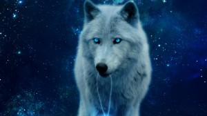 Создать мем: ледяные волки, синий волк обои, волк