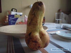 Create meme: the quality is potato, Tits in the shape of a pear, only languages pear sex