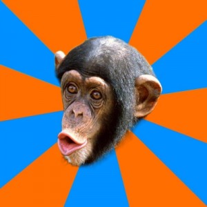 Создать мем: Socially Primitive Chimpanzee, stupid monkey, глупая обезьяна