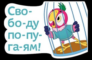 Создать мем: ура свобода попугаям, возвращение блудного попугая, попугай кеша свободу попугаям