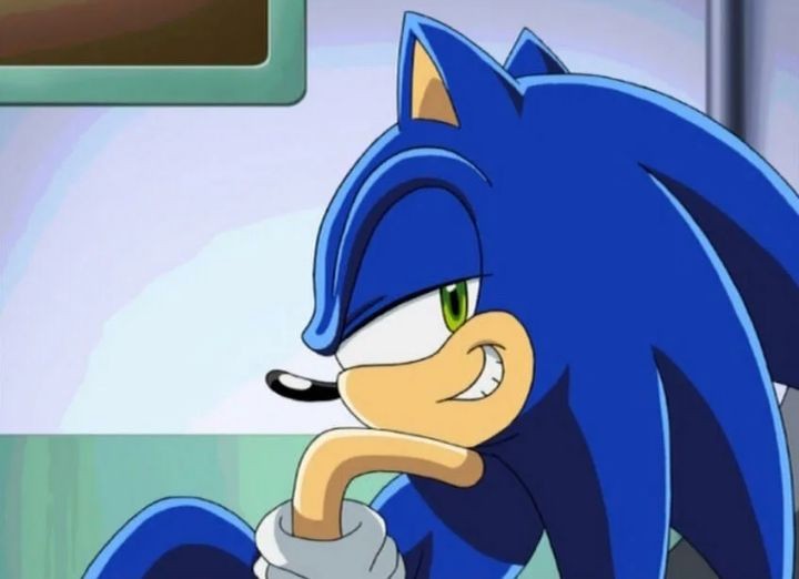 Create meme: sonic x, Sonic x gotta go fast, sonic the Hedgehog