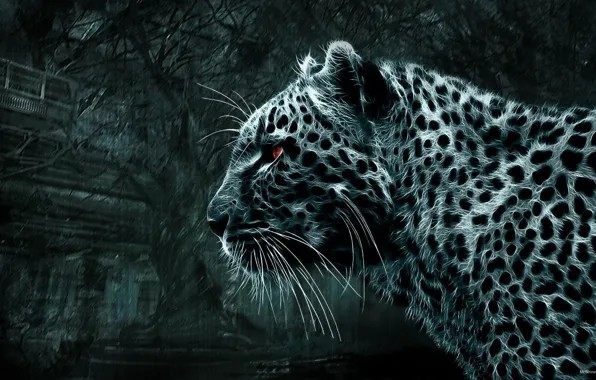 Create meme: cheetah on a black background, neon leopard, background leopard