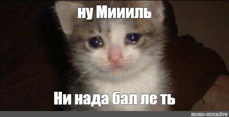 Отправить ВКонтакте. #котенок в слезах. #плачущий кот. #плачущий кот мем. и...