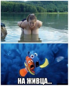 Создать мем: смешные рыбы картинки, В поисках Немо, finding nemo