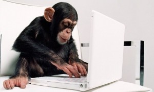 Create meme: monkey for PC, monkey behind a computer