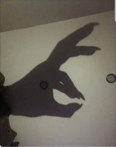 Создать мем: теневая, Рисунок, картинка заяц тень рука