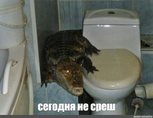 Создать мем: нильский крокодил домашний, крокодил на унитазе, гена на крокодил в ванной