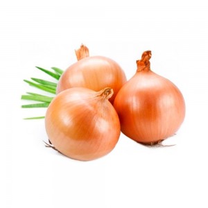 Create meme: Tsibulya, onion vegetable, onion