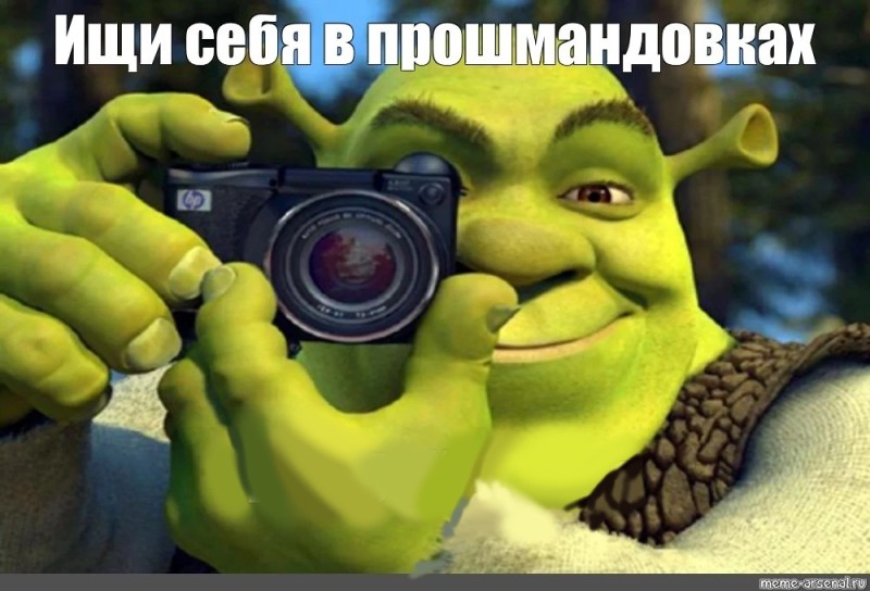 Create meme: Shrek meme template, shrek memes, meme Shrek 