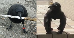 Create meme: Raven crow, crow meme, crow with a knife