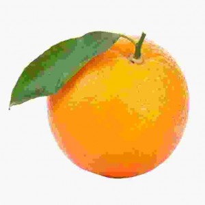 Создать мем: апельсины на прозрачном фоне, апельсин клипарт, апельсин мандарин