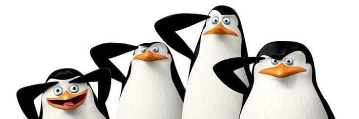 Создать мем: пингвины из мадагаскара савио, пингвины из мадагаскара имена, пингвины из мадагаскара ковальски