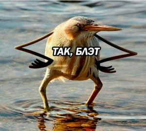 Create meme: so, blet bird meme, tech blet bird, so, blet bird