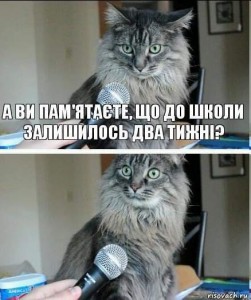 Create meme: cat, cat with microphone meme, smem you realize
