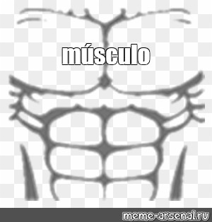 Meme: Músculo - All Templates 