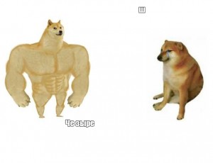 Создать мем: накаченная собака мем, shiba inu, накаченный doge
