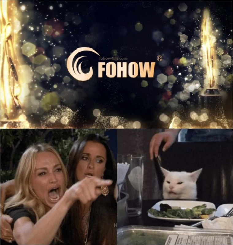 Создать мем: мемы с котами, мем с девушкой и котом, мем с котом за столом