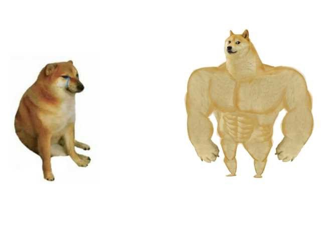 Create meme: doge meme Jock, dog Jock, inflated dog meme