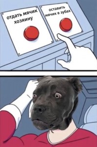 Создать мем: красная кнопка мем, мемы про сложный выбор, мем про выбор собаки