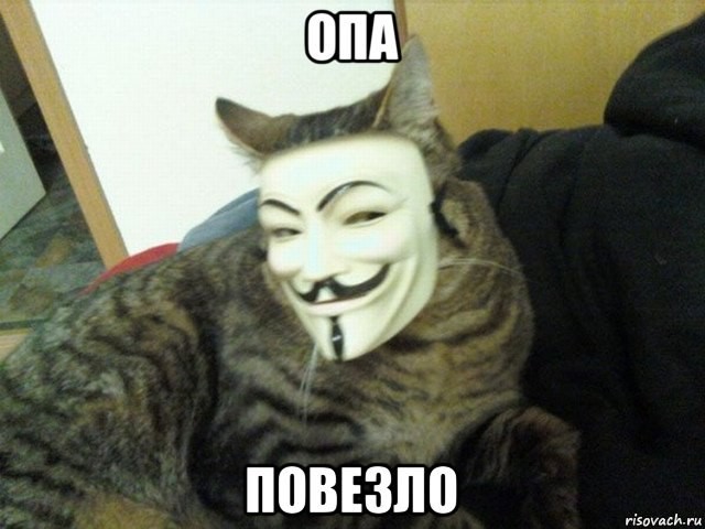 Создать мем: кот анонимус мем, анонимус, кот в маске анонимуса