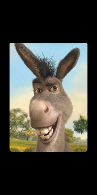 Create meme: donkey , donkey from Shrek , donkey Shrek