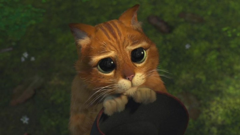 Create meme: the cat from Shrek, puss in boots eyes , the cat from Shrek 