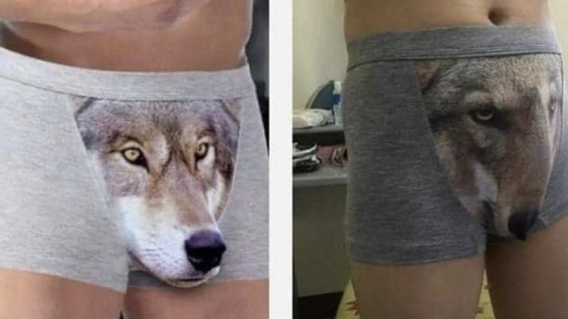 Create meme: underwear wolf, men's underpants with a wolf, cowards with a wolf reality