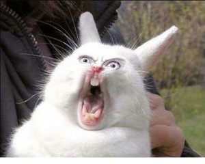 Создать мем: бубенчик кролик мем, бубенчик заяц мем, орущий заяц