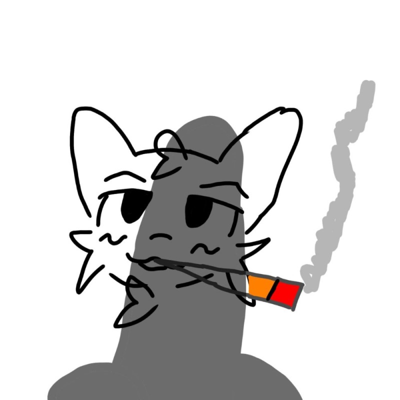 Create meme: The smoke cat, cat , anime
