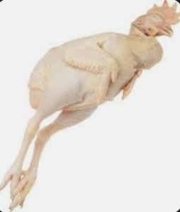 Создать мем: курица свежая, петух (тушка) за 1 кг., тушка курицы