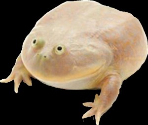 Создать мем: wednesday frog, лягушка its wednesday my dudes, it is wednesday my dudes жаба
