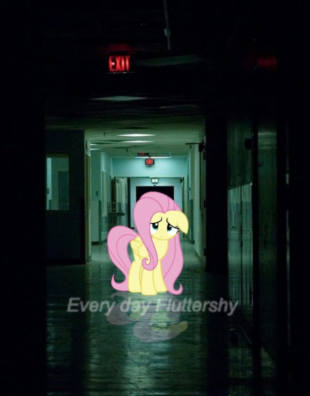 Create meme: fluttershy pony is sad, fluttershy pony , fluttershy 