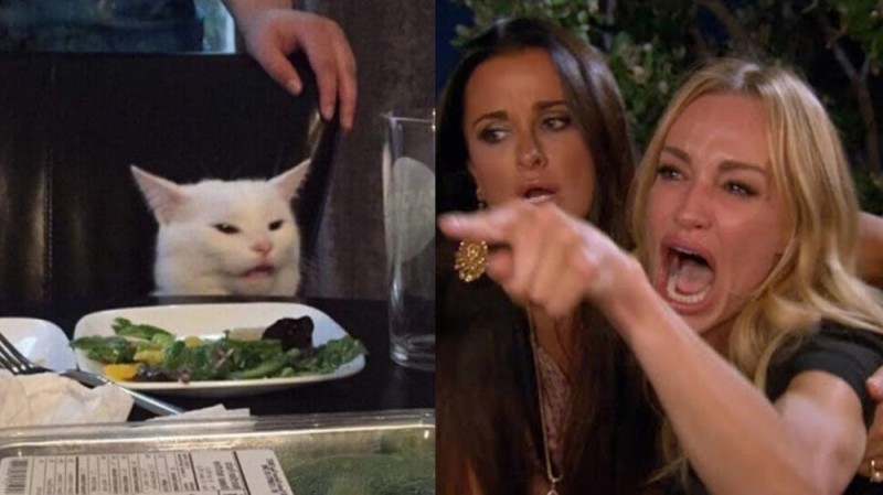 Создать мем: мем с котом в ресторане, мем женщина орет на кота, мем женщина и кот