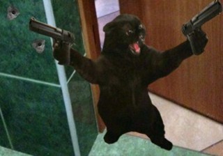 Create meme: cat Hippo with a gun, funny animals , cat with a gun