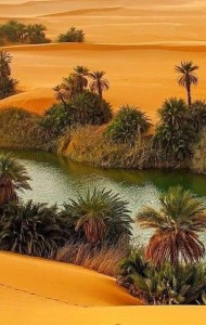 Create meme: desert, an oasis in the desert