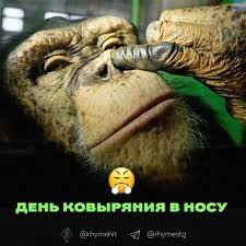 Create meme: World Nose Picking Day, chimpanzees , funny 