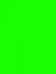 Создать мем: зеленый однотонный, зеленый лайм, яркий зеленый фон