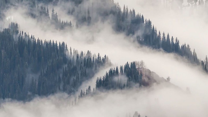 Создать мем: горы лес туман, тұман, запечатлевающие