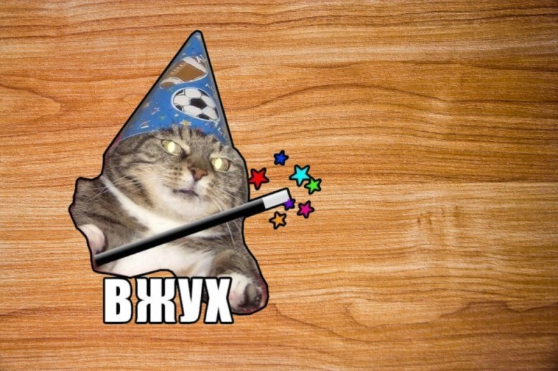 Create meme: meme cat vzhuh , cat vzhuh , meme vzhuh