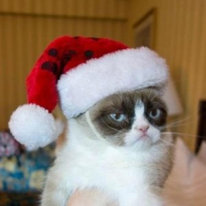 Create meme: hat of Santa Claus, cat and, santa hat