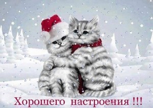 Create meme: good morning winter, Wallpaper desktop winter cats, winter postcards